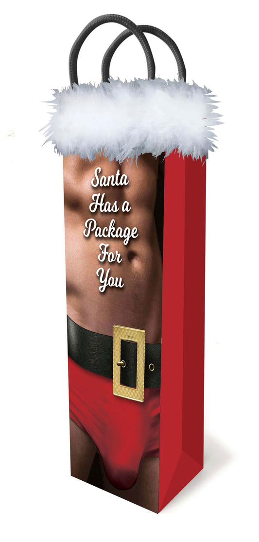 Santa Has A Package For You Gift Bag